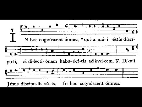 In Hoc Cognoscent, Antiphon