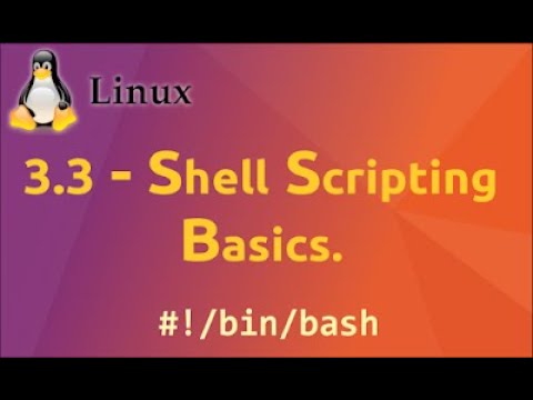 Echo Read Shell Scripting Tutorial Shell Basics For Beginners