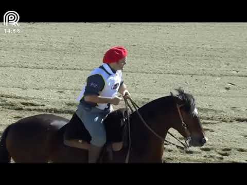 Final Freio de Ouro (RS) – 2° lugar fêmeas – Cambraia Cala Bassa (Prova: Bayard/Sarmento)