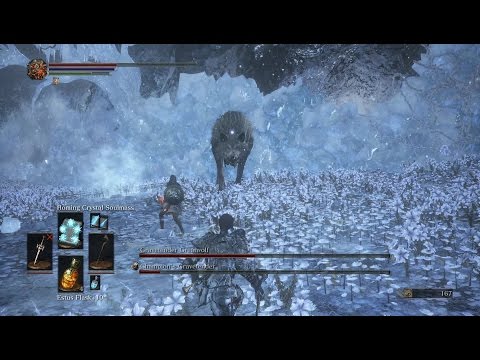 Dark Souls 3 - Sorceries Only Boss Fight #25 - Champion's Gravetender & Gravetender Greatwolf