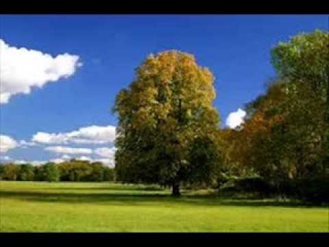 Dueto Molina Mercado Vol  6 Bendito sea Dios