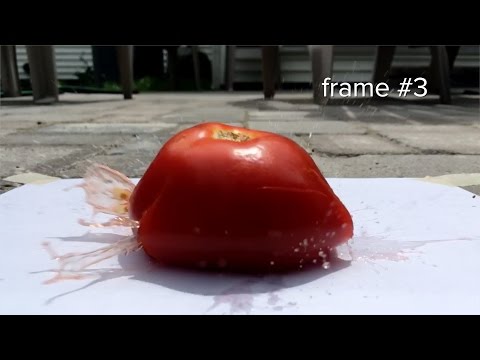 Impulse Introduction or If You Don't Bend Your Knees When Stepping off a Wall