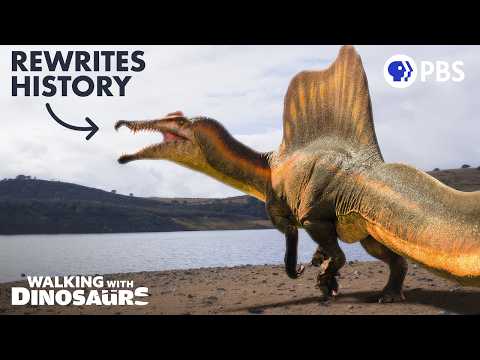 Were We WRONG About Spinosaurus?