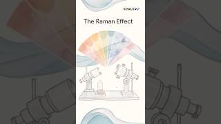 The Question That Won India Its First Nobel Prize in Science | National Science Day #shorts