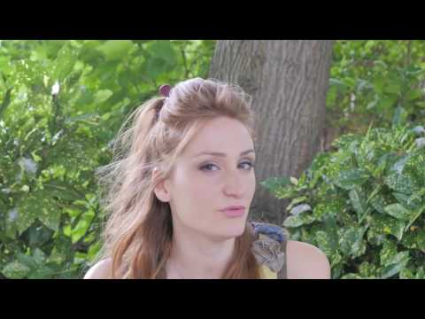 La'Hcene ' Feat Noémie '   L' Arbre de Belleville clip officiel