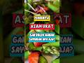 HAVE GOUT AVOID EATING THESE VEGETABLES