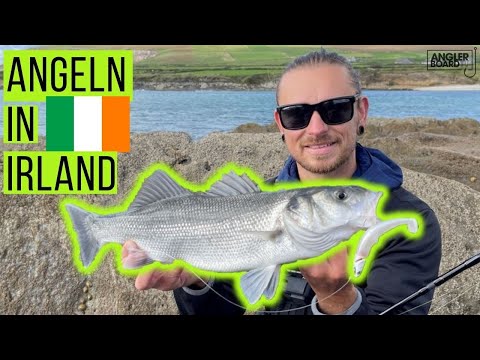 Wolfsbarsch Angeln in Irland am Wild Atlantic Way | Irlands wilder Westen | seafishing in ireland