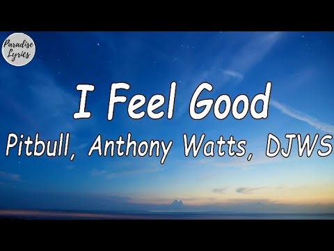 Pitbull Ft. Anthony Watts _ DJWS - I Feel Good (Lyrics Video)