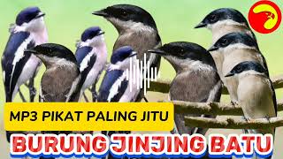 Download lagu SUARA PIKAT BURUNG JINGJING BATU PALING JITU mp3