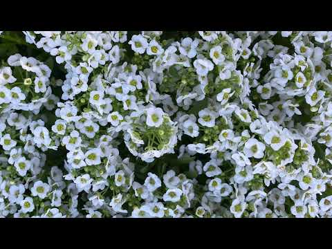 IDK You Yet - Luke Christopher