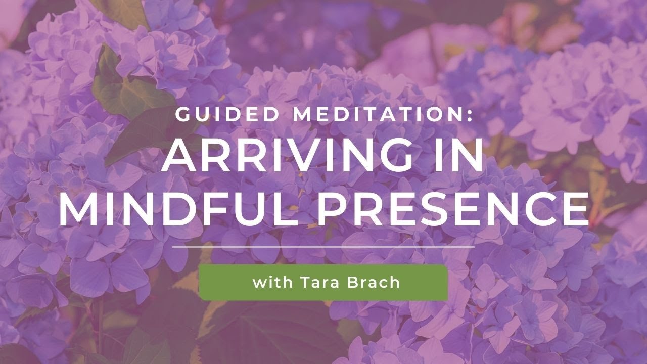 Short Guided Meditation: Arriving in Mindful Presence with Tara Brach