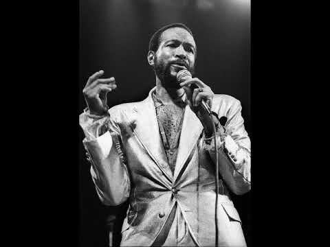 Marvin Gaye Too busy Thinking about my baby   Sytrys Production