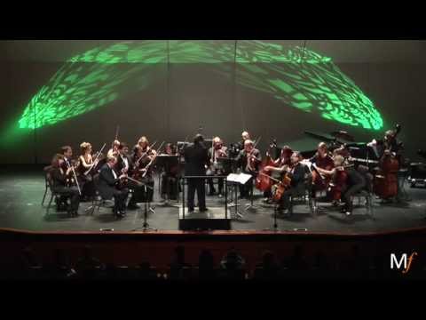 Dag Wiren - Serenade for String Orchestra, Op 11 (1st Mvt)