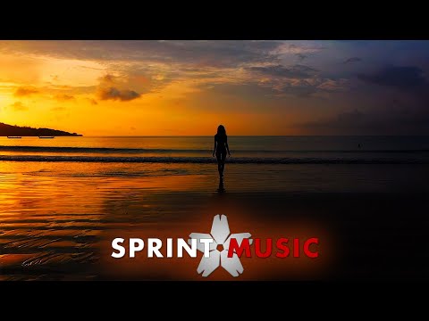 Mr. VIK ❌ Tamy - Tropycana