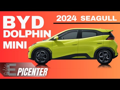 BYD Dolphin mini -- Seagull 2024