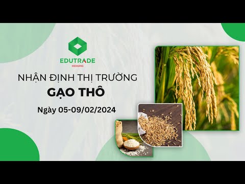 Nhận Định Thị Trường - Gạo thô (Ngày 05-09/02/2024)