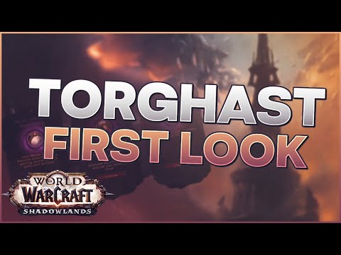 Shadowlands Alpha Torghast Tower of the Damned FULL CLEAR and First Impressions!