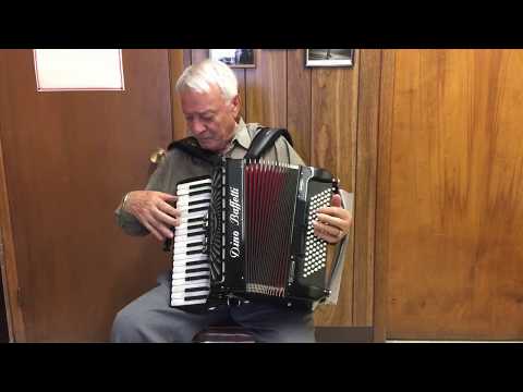 Fisarmonica Allegra (Dino Baffetti Studio II 34/96 bass)