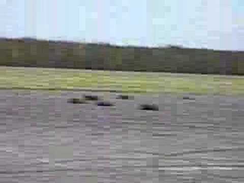 beemka-klub.pl Borsk 20.04.08