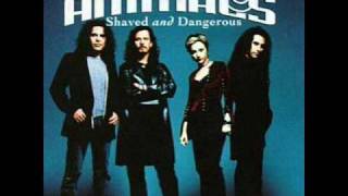 Baby Animals - Backbone.wmv