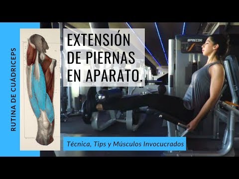 Extensión de cuádriceps