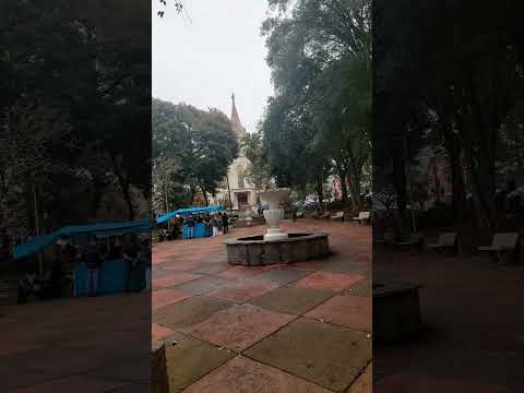 cambui mg