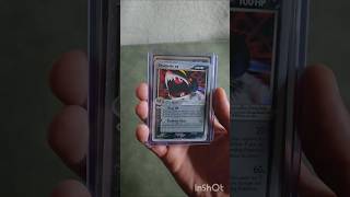 The Daily Card Binder Show! EP 116 #pokemon #pokemoncards #pokemontcg