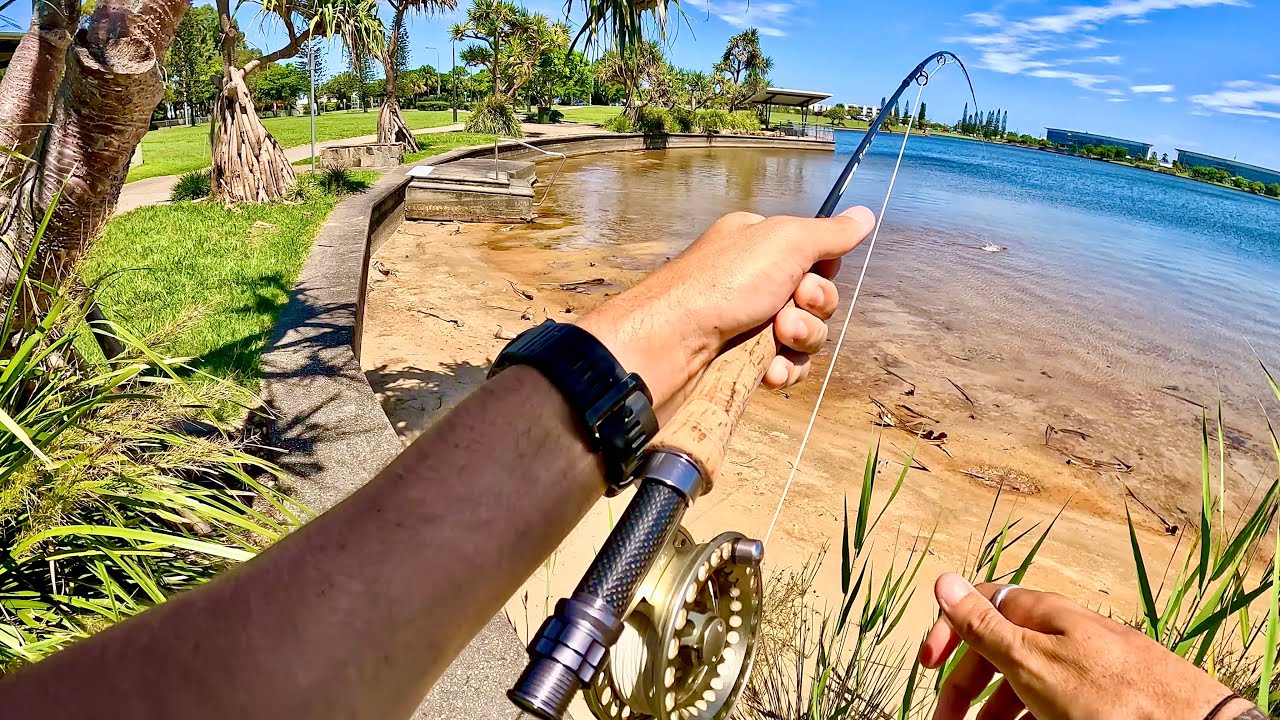 Sight fishing in an URBAN LAKE!