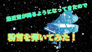 一発撮りシリーズ！ 最近雪が降ってきたので【粉雪】を弾いてみた！