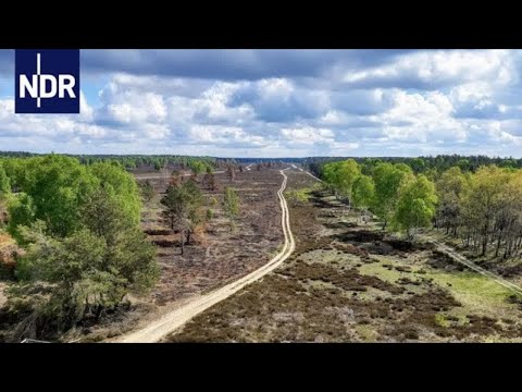 Freie Heide  | Hanseblick | NDR