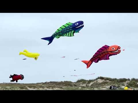 何百もの凧がデンマークの島の空を埋め尽くす｜REUTERS (Hundreds of kites fill sky over Danish island for festival | REUTERS)