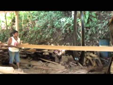 bali , gopro , stand up paddle , scuba diving , trek