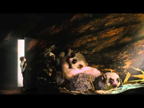 L'île des lémuriens: Madagascar 3D