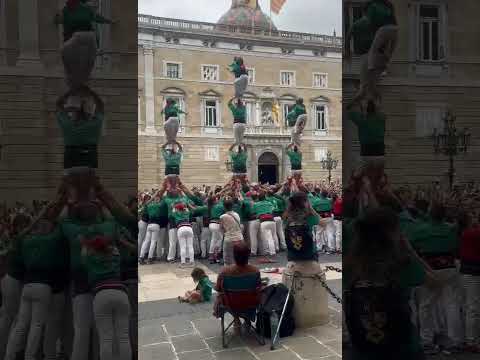 video-cover