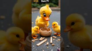 Download lagu cute  duck and little ducks creates a small bort #duck #duckrescue #duckstory#ducklings mp3