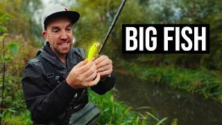 This ditch had a big fish lurking!