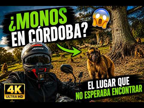 ¿MONOS EN CÓRDOBA? 😱 El lugar que NO esperaba encontrar