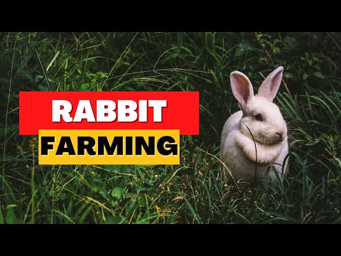 , title : 'Rabbit Farming 101: Essential Tips for Rabbit Breeding!'