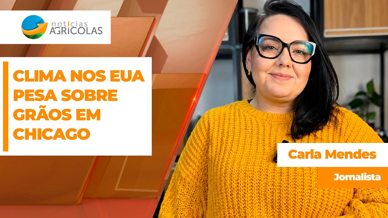 FECHAMENTO DE MERCADO DA SOJA - EDIÇÃO 29/06/2026