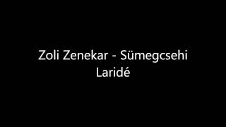 preview picture of video 'Zoli Zenekar Sümegcsehi - Laridé'