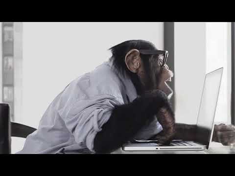 DevMarket Ltd video.