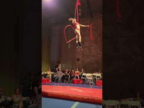 Aerial Heart performance video