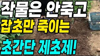 작물은 안죽고 잡초만 싹다 죽이는 초간단 제초제! 잡초 스트레스 끝!