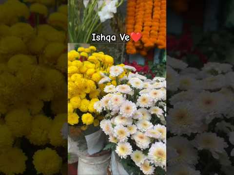 Tag That Flower Lover | #flowers #flower #winter #january #2026 #trending #travel #viral #love