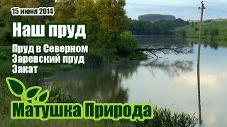 Рыбалка в серебряных прудах московской области
