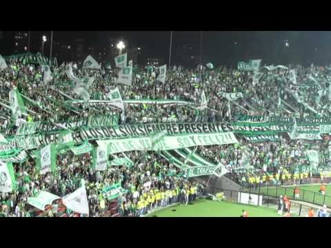 "CÃNTICOS LOS DEL SUR | AtleÌtico Nacional 4   Fortaleza 1, Fecha 5, Liga Ãguila 2016-I" Barra: Los del Sur • Club: Atlético Nacional