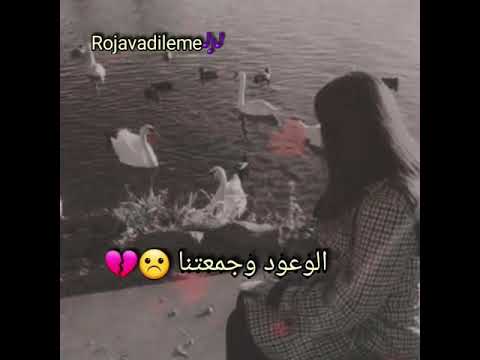 كاني أفين سوز و جفين  اغنية كردية حزينة مترجمة  حالات واتس اب  🎶🥀💔 بصوت زويا🌺 zoya