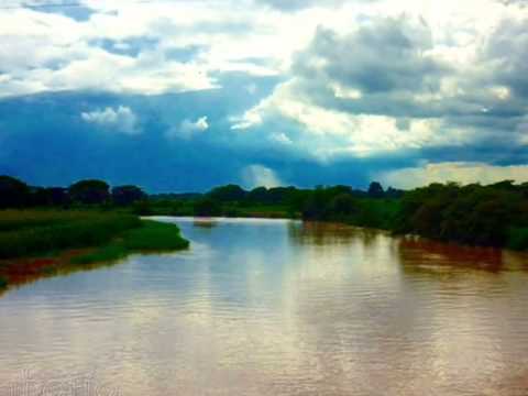 Elisa Guerrero - Adios Barrancas de Arauca