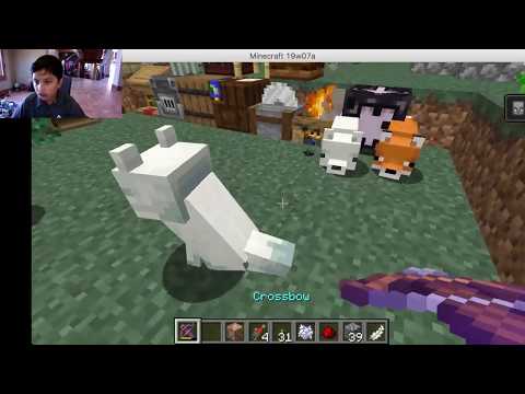 Minecraft Snowy Fox Command - YouTube
