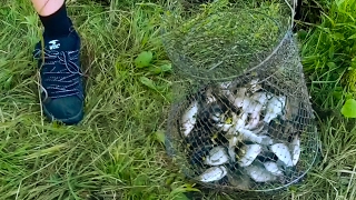 Платные водоёмы для рыбалки в новосибирске
